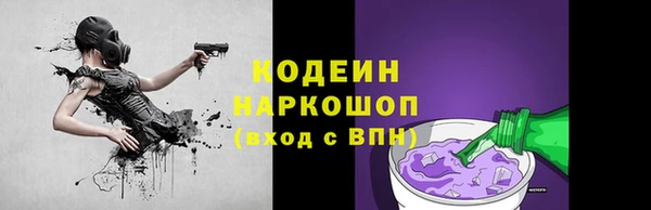 тгк Абаза
